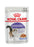 Royal Canin Sterilised Jelly kissalle 85 g MAISTELUPAKKAUS