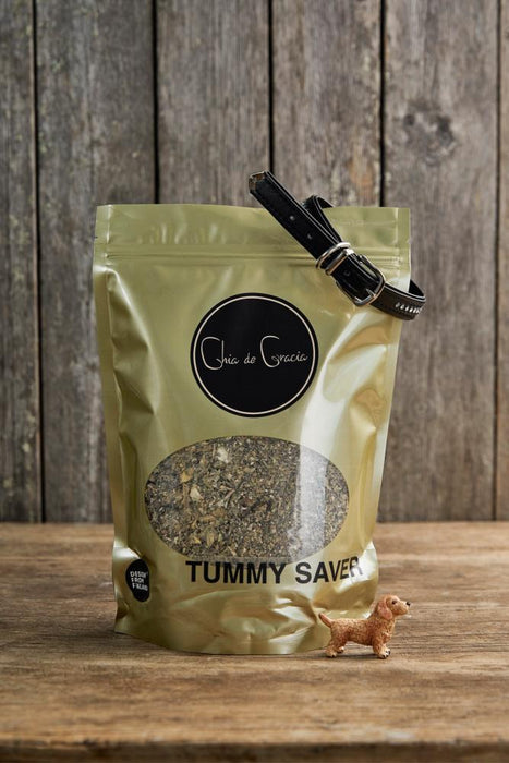 Chia de Gracia Tummy Saver hevoselle ja koiralle 600 g