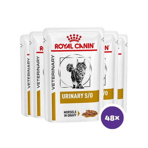 Royal Canin Urinary S/O Morsels In Gravy kissalle 48 x 85 g SÄÄSTÖPAKKAUS