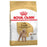Royal Canin Poodle Adult koiralle 1,5 kg