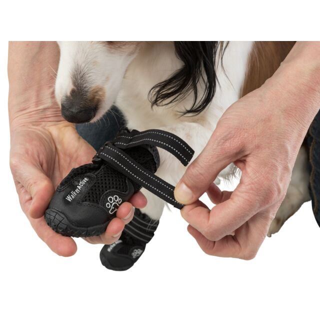 Trixie Walker Active tossut L 2 kpl