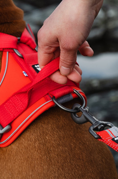 Hurtta Weekend Warrior ECO valjas punainen 100-120