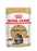 Royal Canin Maine Coon Adult kissalle 12 x 85 g