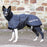 Back on Track Whippet-takki 30