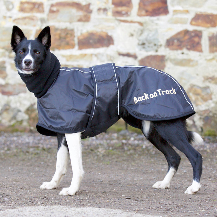 Back on Track Whippet-takki 30