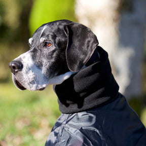 Back on Track Whippet-takki 55