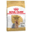 Royal Canin Yorkshire Terrier Adult koiralle 1,5 kg