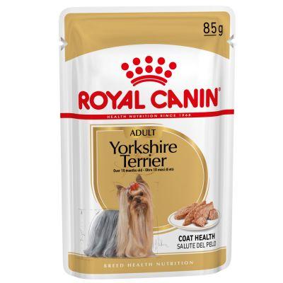 Royal Canin Yorkshire Terrier Adult koiralle 85 g MAISTELUPAKKAUS